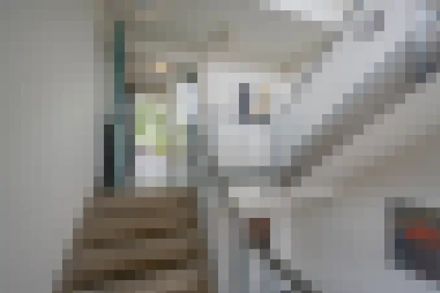 Smidshof 3 a Nijkerk thumbnail 28