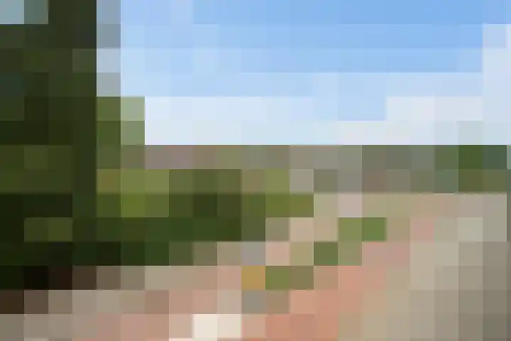Smidshof 31 Vught thumbnail 16