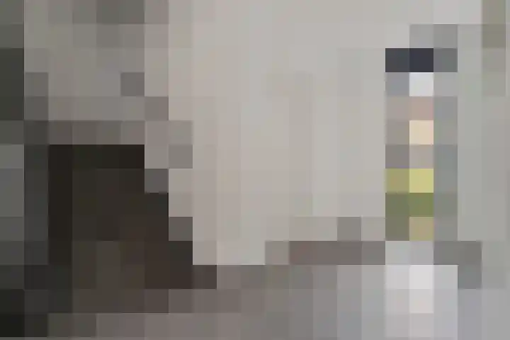 Smidshof 31 Vught thumbnail 8