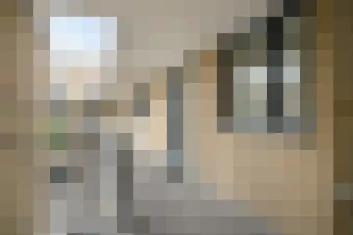 Smidshof 31 Vught thumbnail 9