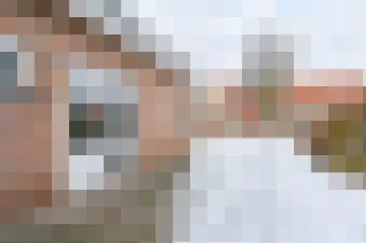 Smidshof 33 Nieuw-Dordrecht thumbnail 5