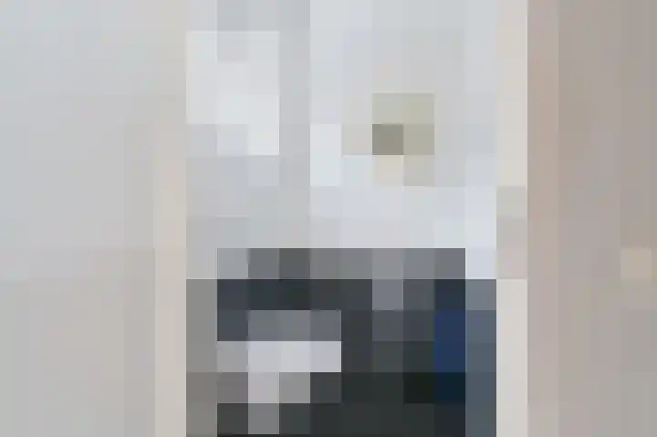 Smidshof 33 Nieuw-Dordrecht thumbnail 8