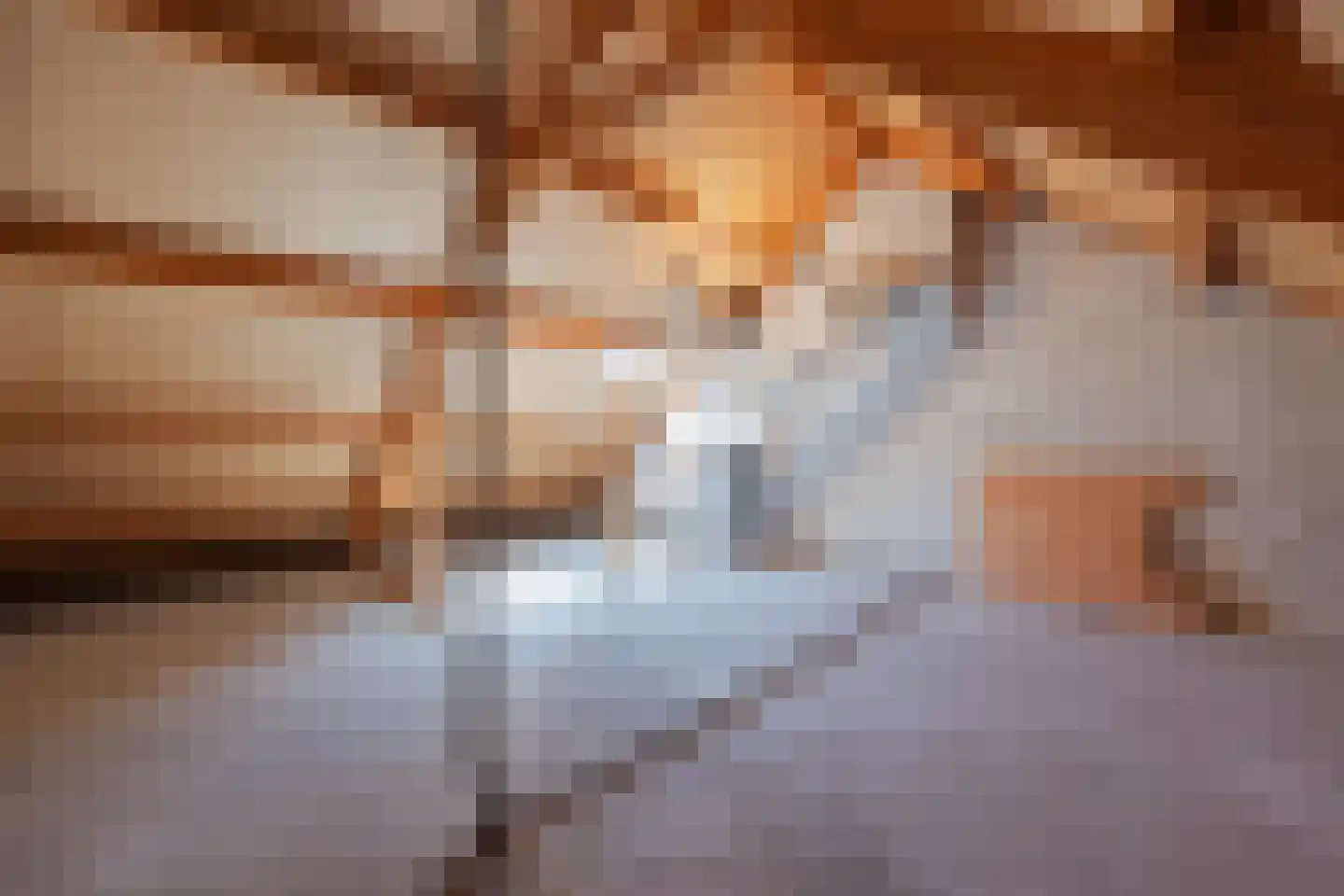 Smidshof 6 Raamsdonksveer thumbnail 29