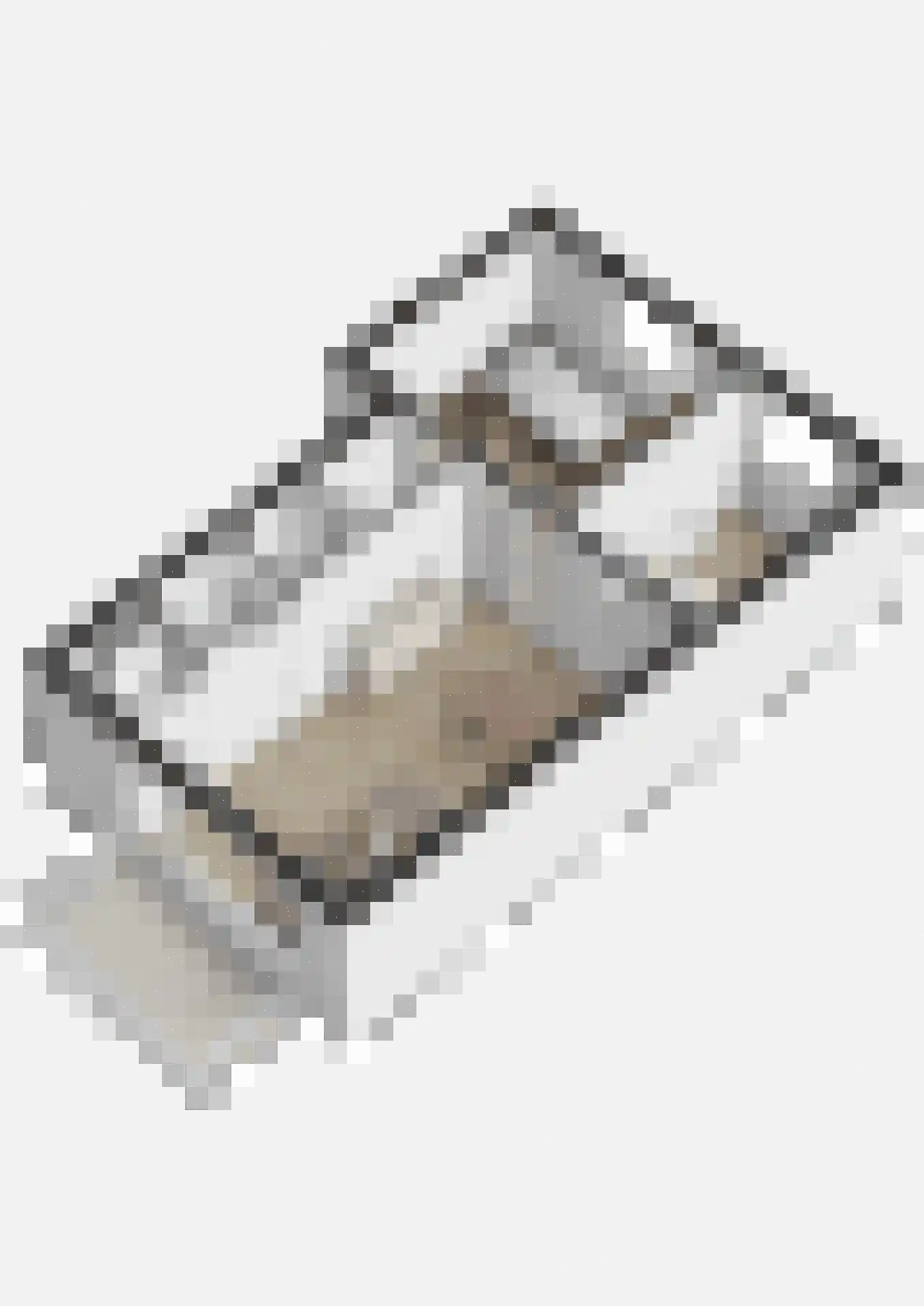 Smidshof 6 Raamsdonksveer thumbnail 35