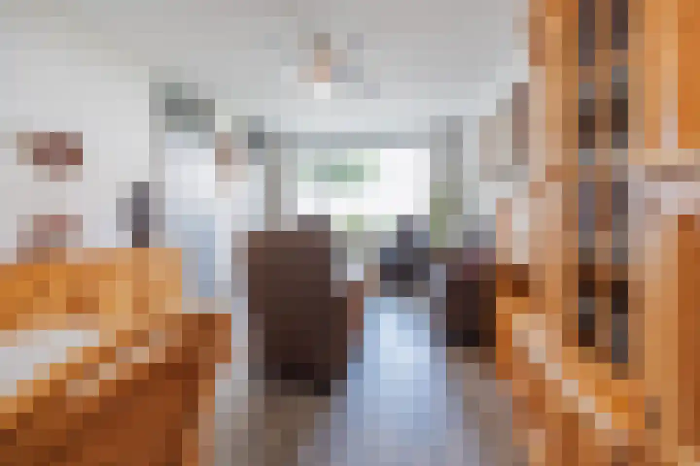 Smidshof 7 Raamsdonksveer thumbnail 16