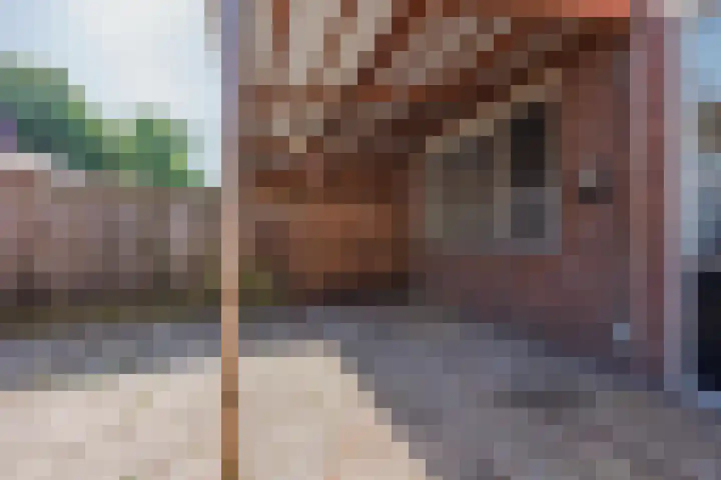 Smidshof 7 Raamsdonksveer thumbnail 26