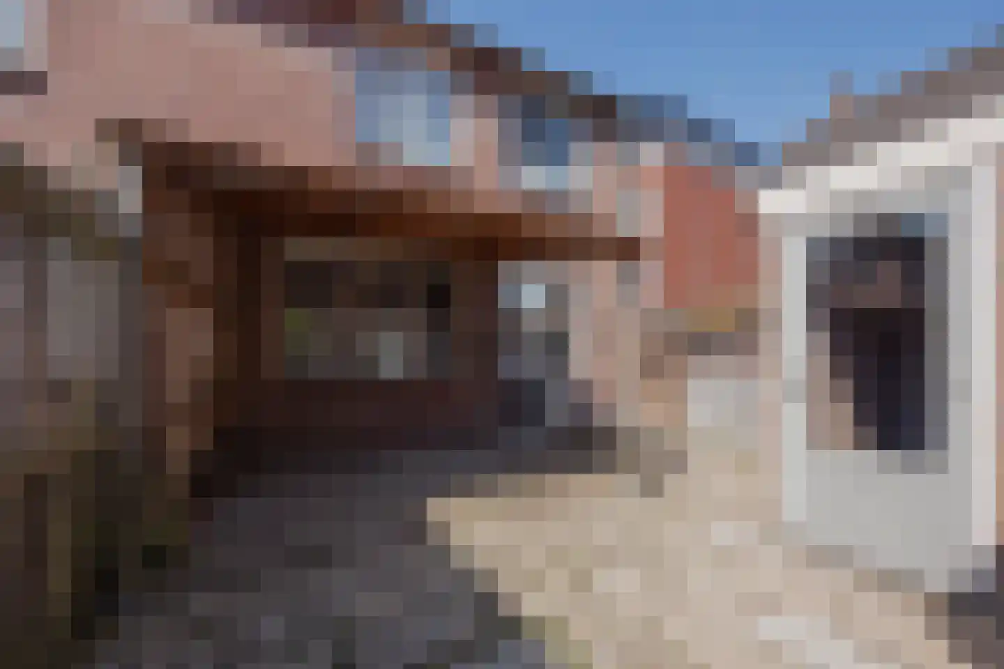 Smidshof 7 Raamsdonksveer thumbnail 29