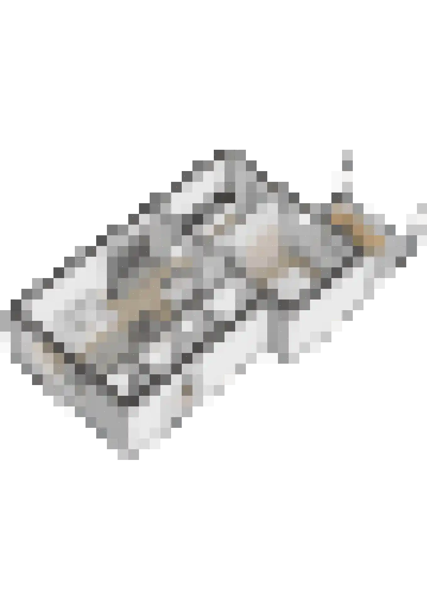 Smidshof 7 Raamsdonksveer thumbnail 33