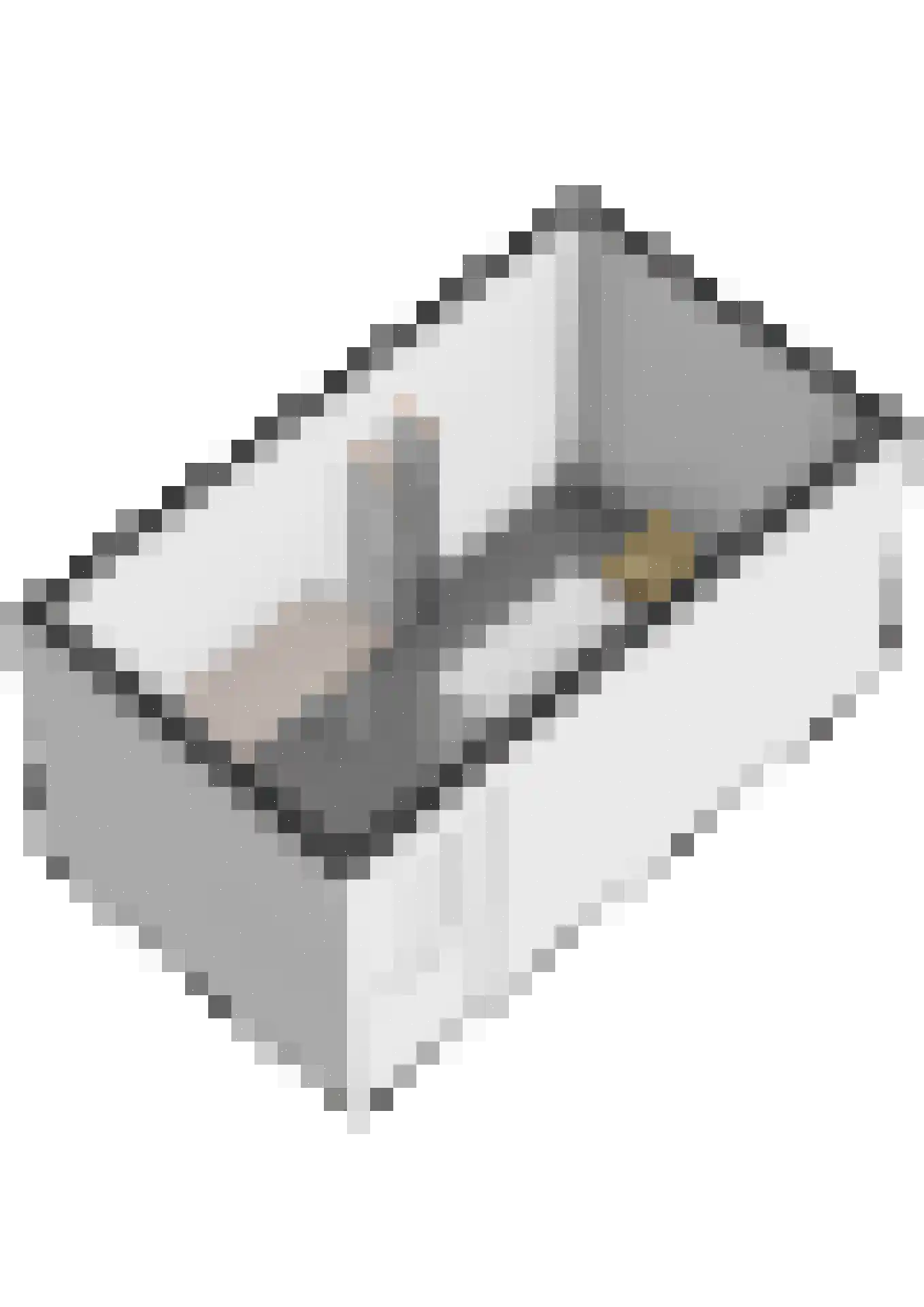 Smidshof 7 Raamsdonksveer thumbnail 34