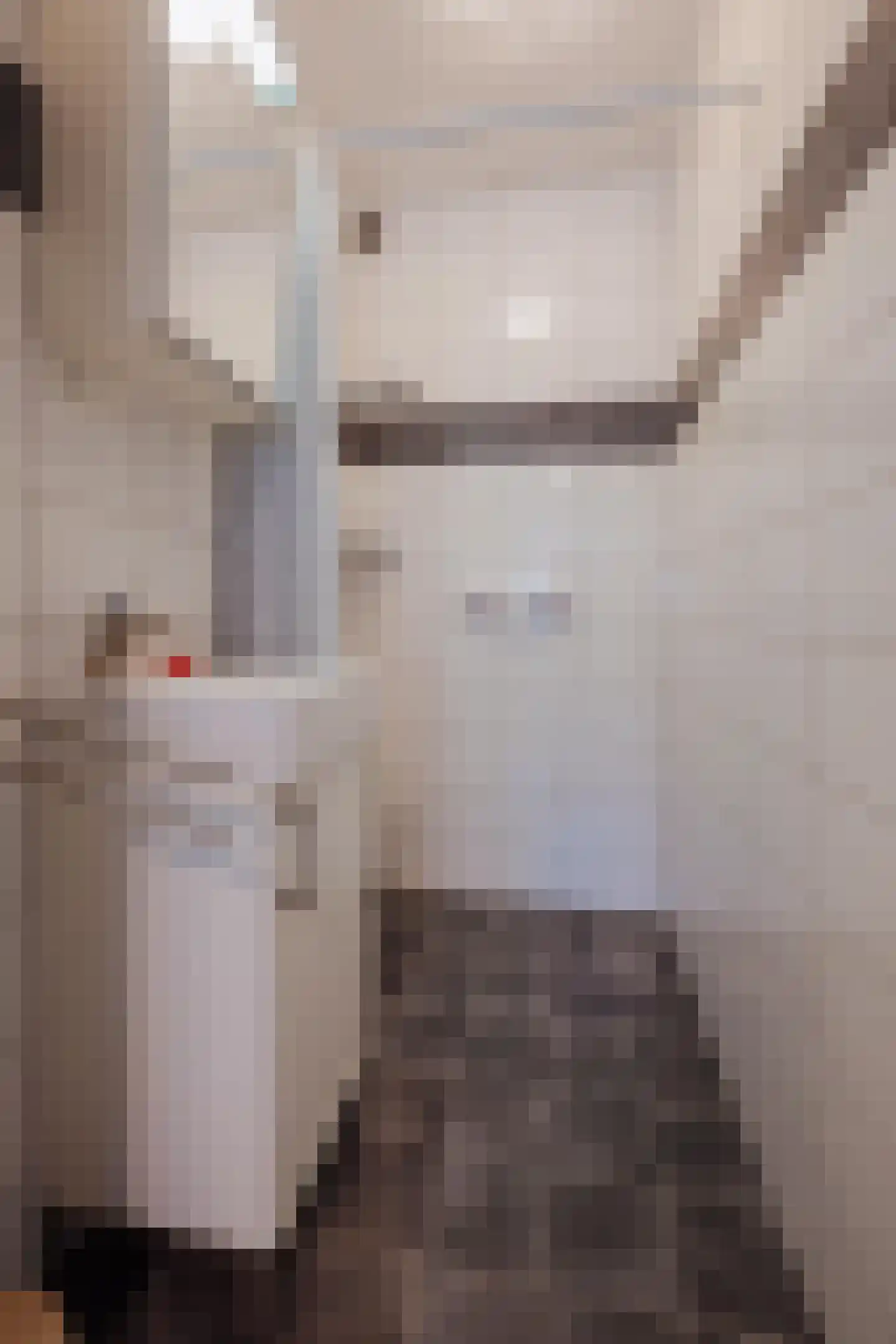 Smidshof 7 Raamsdonksveer thumbnail 5