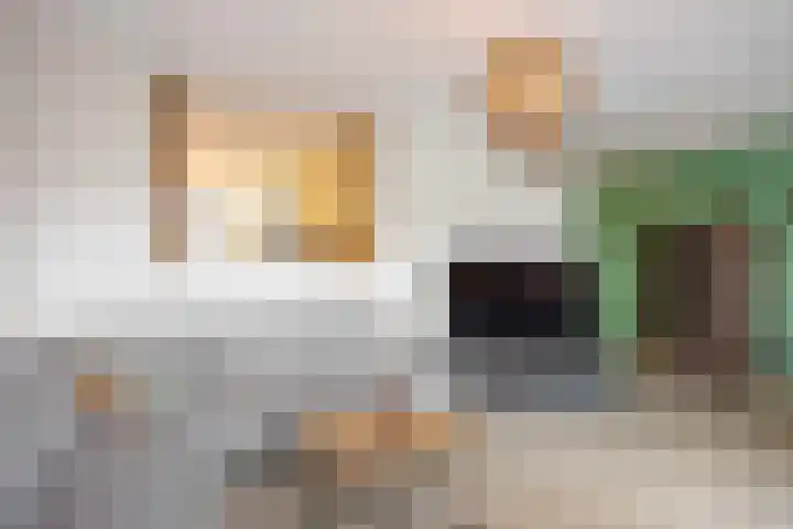 Smidshorn 8 Bedum thumbnail 17