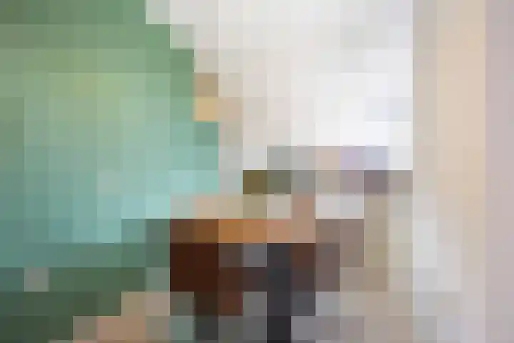 Smidshorn 8 Bedum thumbnail 21