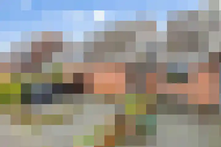 Smidshorn 8 Bedum thumbnail 4