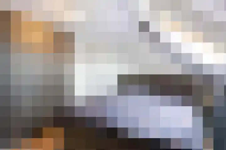 Smidshorn 8 Bedum thumbnail 45