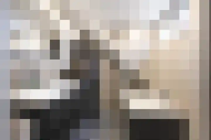 Smidshorn 8 Bedum thumbnail 46