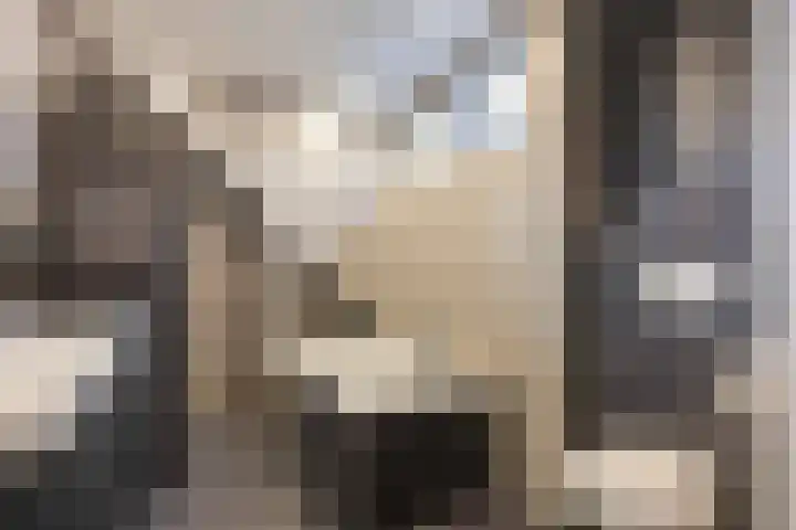 Smidshorn 8 Bedum thumbnail 47