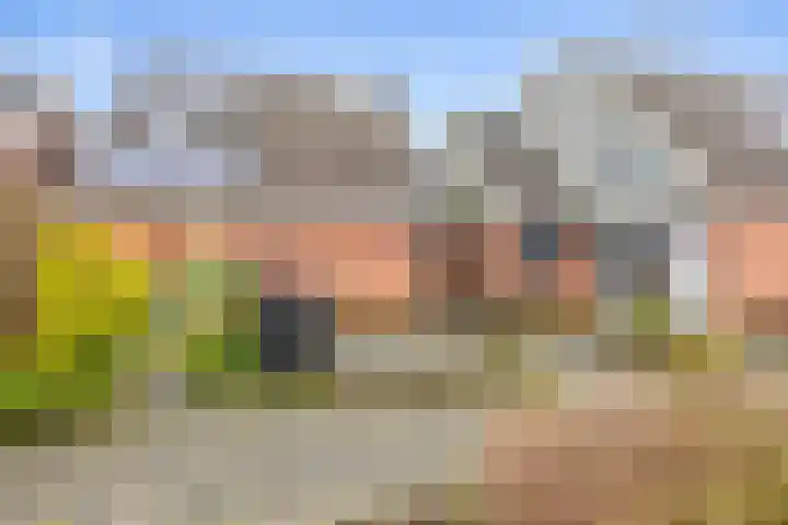Smidshorn 8 Bedum thumbnail 7