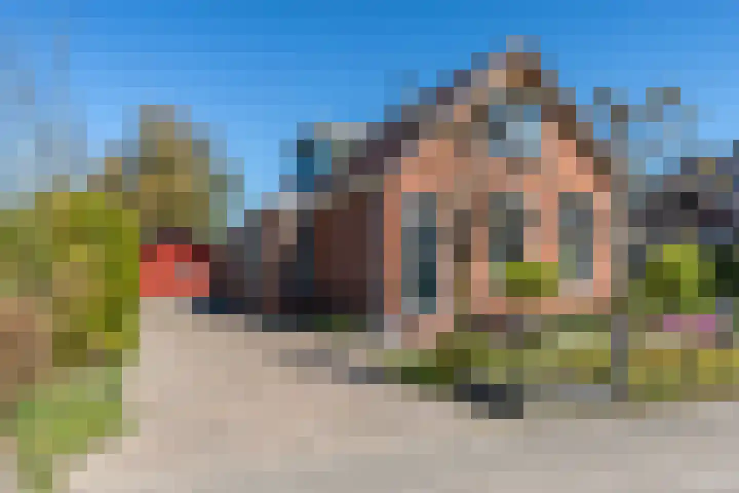 Smidshornerweg 3 Niekerk