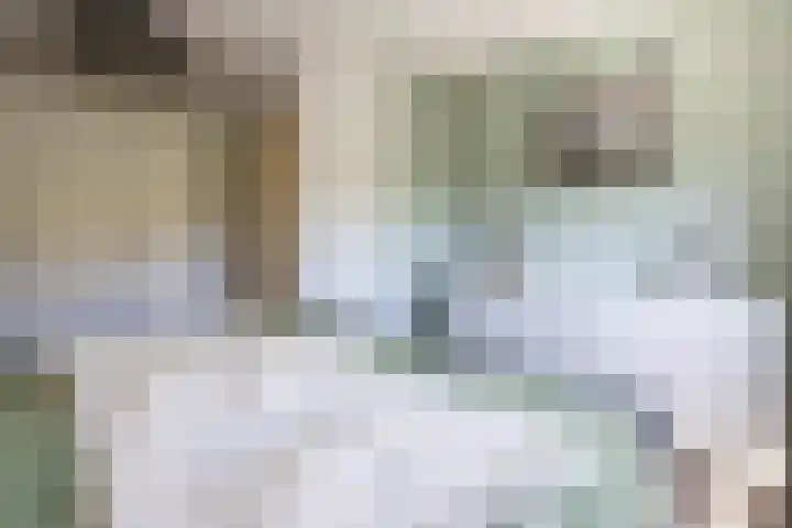Smidskaamp 16 de Lutte thumbnail 20
