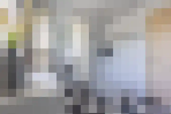 Smidskaamp 16 de Lutte thumbnail 30