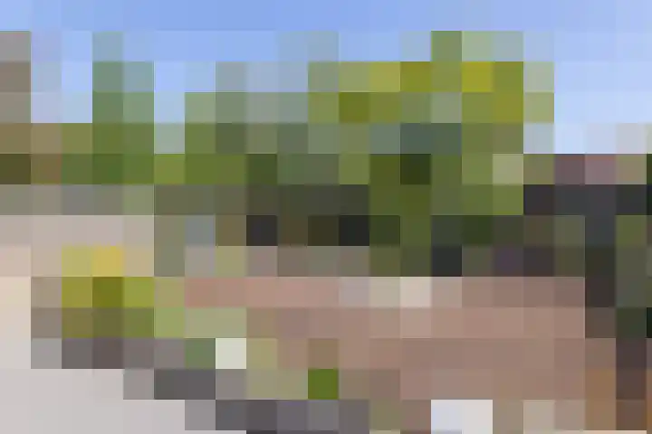 Smidskaamp 16 de Lutte thumbnail 32
