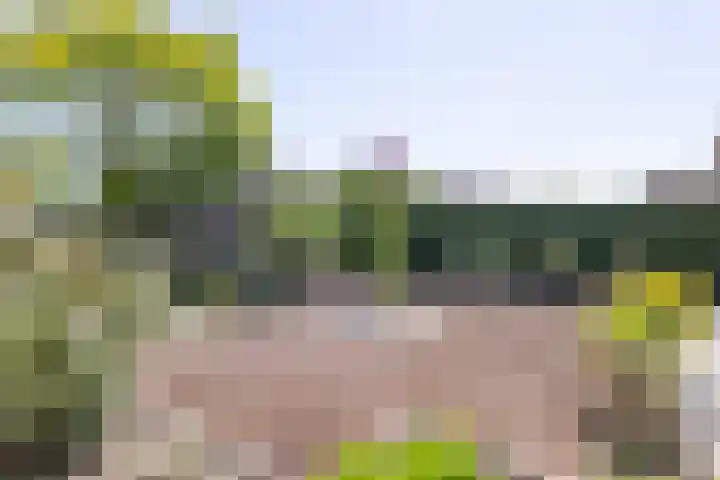 Smidskaamp 16 de Lutte thumbnail 33