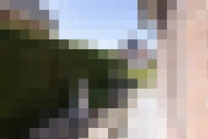 Smidskaamp 16 de Lutte thumbnail 38
