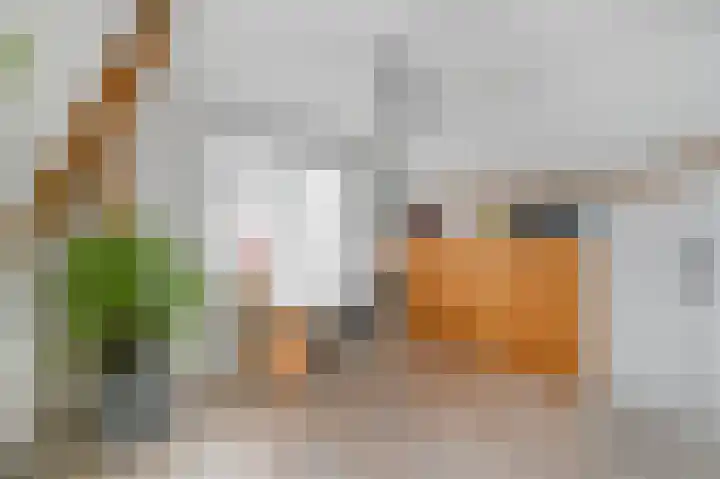 Smidslaan 27 Leidschendam thumbnail 17