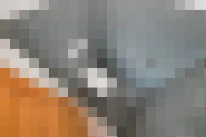 Smidslaan 27 Leidschendam thumbnail 24