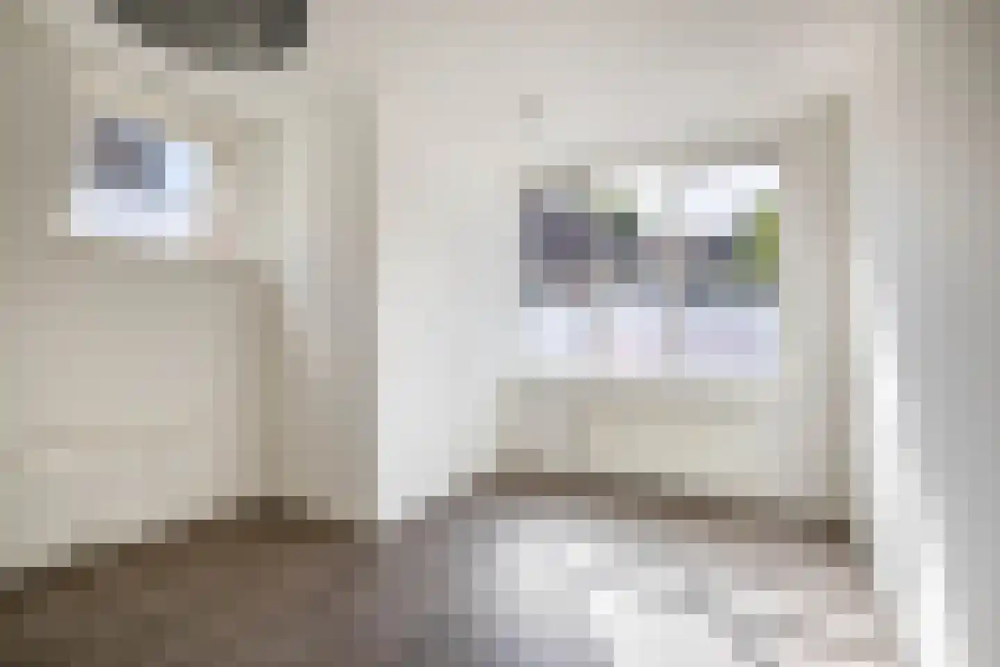 Smidslaan 4 Zaandijk thumbnail 11