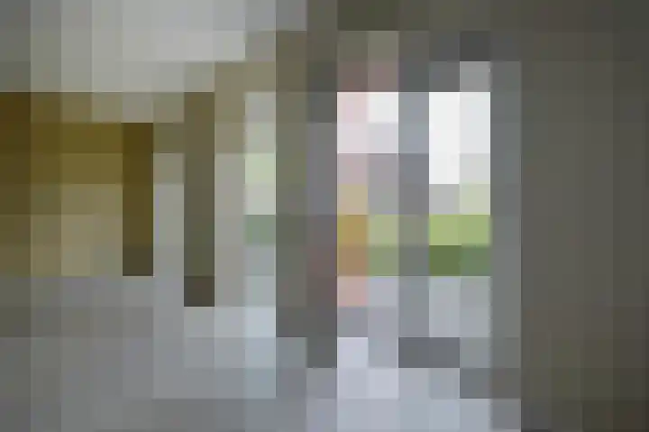 Smidslaantje 1 A Appelscha thumbnail 15