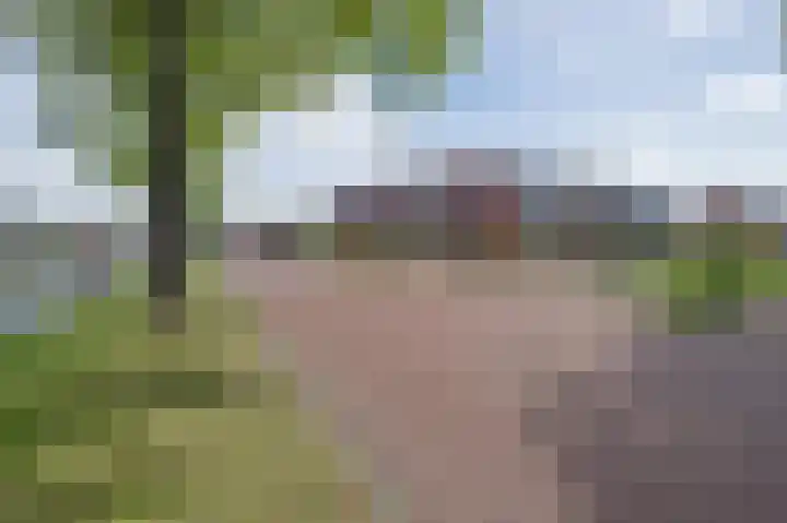 Smidslaantje 1 A Appelscha thumbnail 29