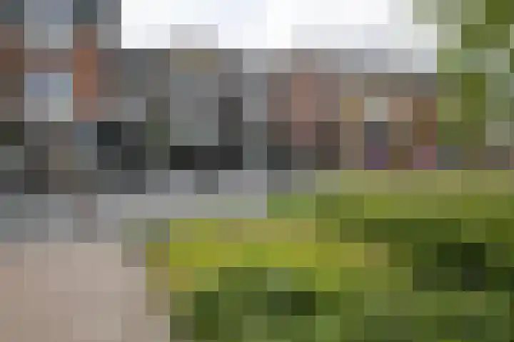Smidslaantje 1 A Appelscha thumbnail 31