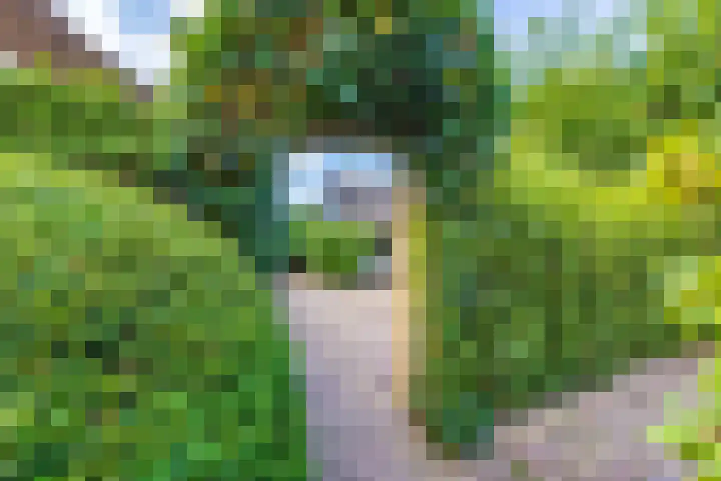 Smidslaantje 2 Laren thumbnail 29
