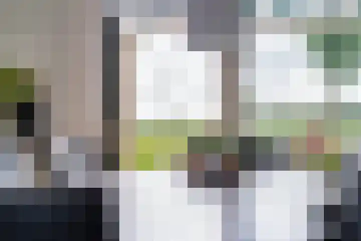 Smidslân 9 Easterein thumbnail 14