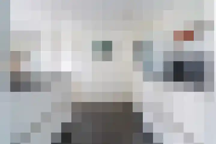Smidslân 9 Easterein thumbnail 17