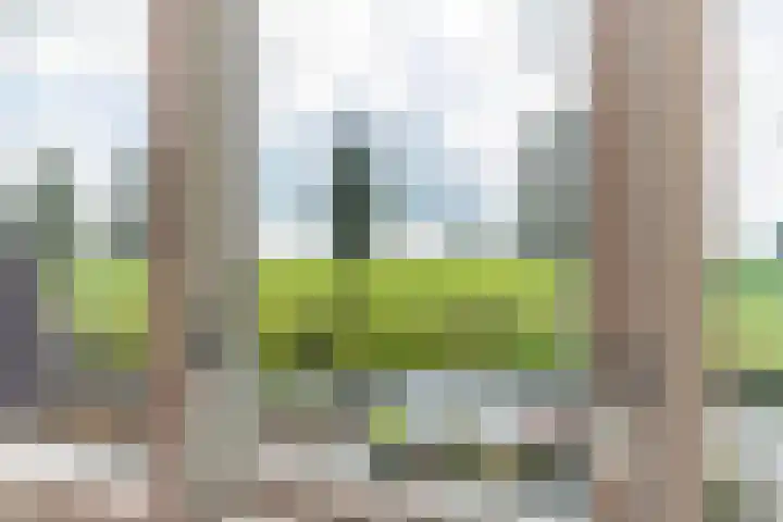 Smidslân 9 Easterein thumbnail 21