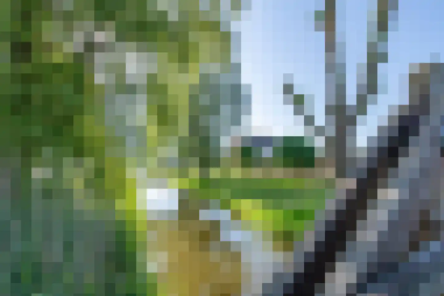 Smidsloot 7 Tuitjenhorn thumbnail 56
