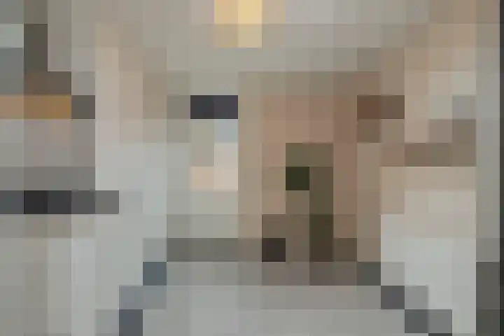 Smidspad 12 Tilburg thumbnail 12