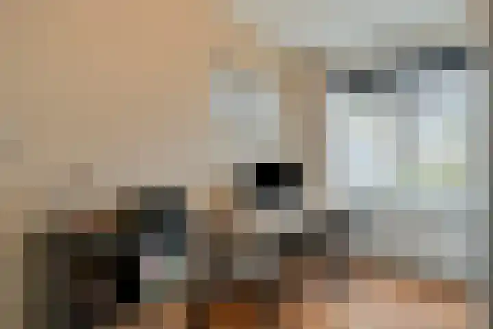 Smidspad 12 Tilburg thumbnail 29