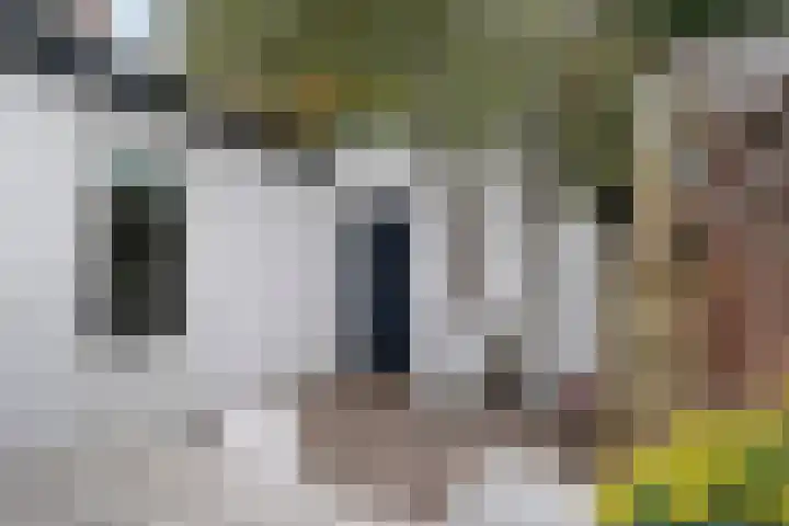 Smidspad 12 Tilburg thumbnail 44