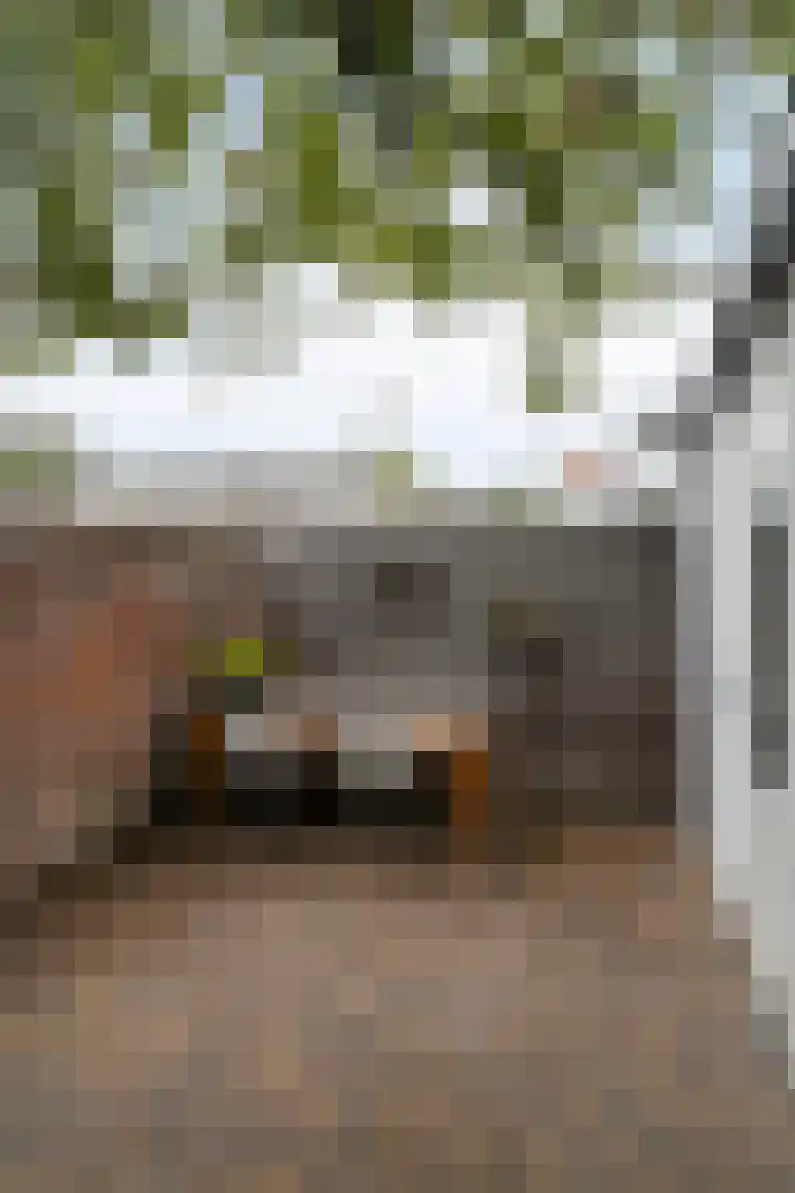 Smidspad 12 Tilburg thumbnail 46