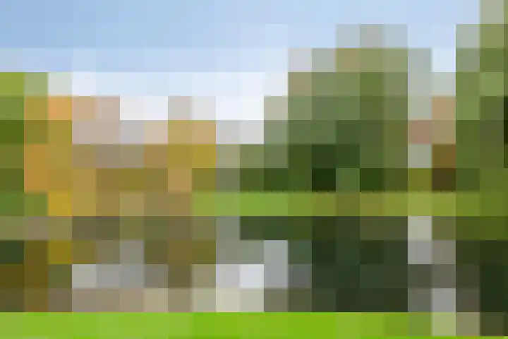 Smidspad 12 Tilburg thumbnail 56