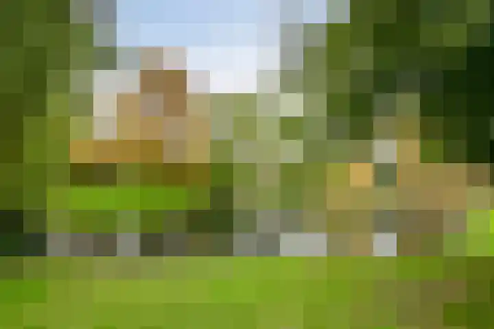 Smidspad 12 Tilburg thumbnail 58