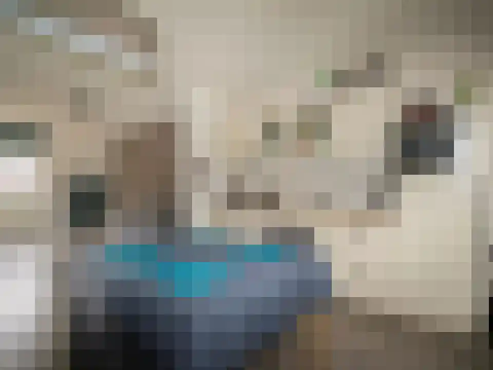 Smidspad 23 Tilburg thumbnail 5