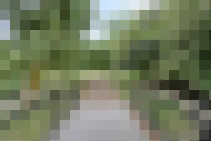 Smidspad 40 08 Tilburg thumbnail 27