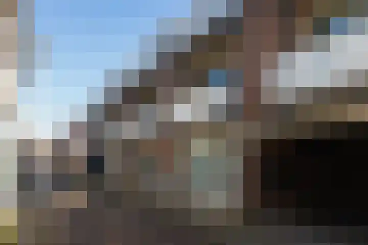 Smidspad 40 09 Tilburg thumbnail 5