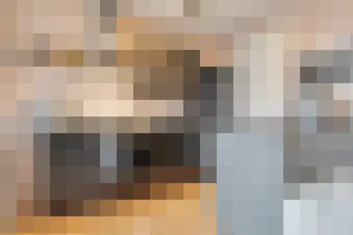 Smidspad 65 a Tilburg thumbnail 18