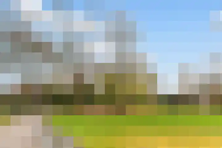 Smidspad 65 a Tilburg thumbnail 38