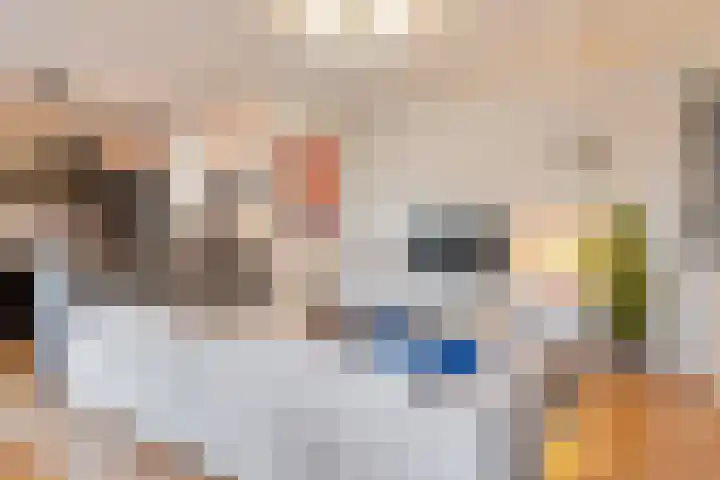 Smidspad 65 a Tilburg thumbnail 5